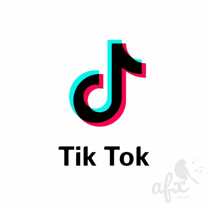 Скачать звуки из tiktok