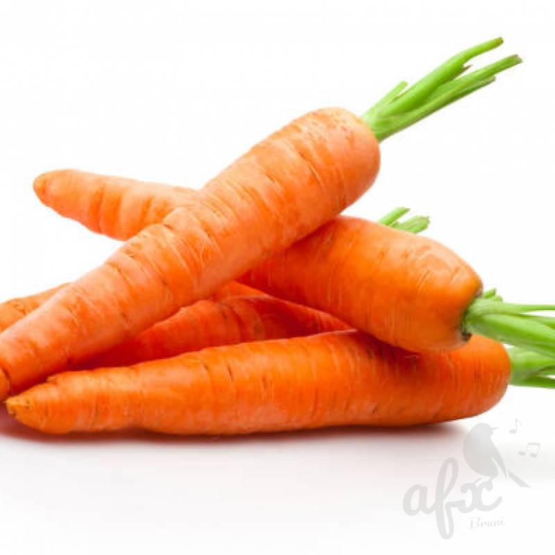 Скачать звуки моркови