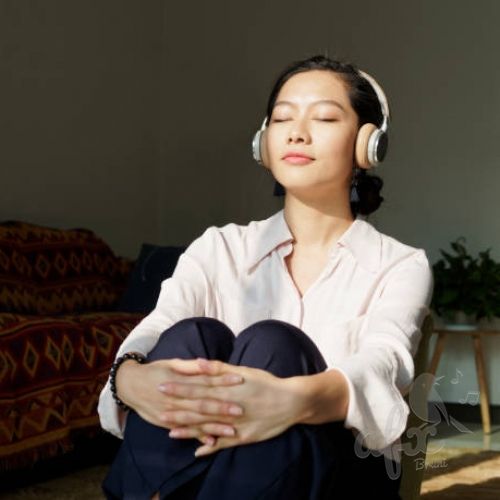 Скачать звуки Азиатская музыка без авторских прав