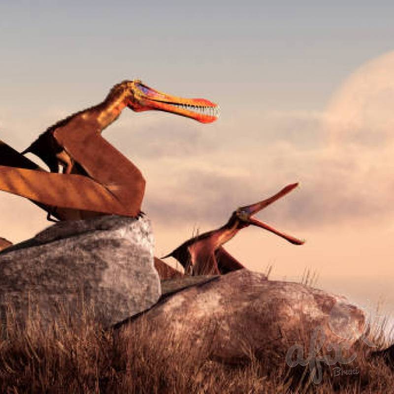 Скачать звуки птерозавров (летающих динозавров)